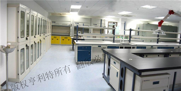 草莓视频官网在线观看實驗台